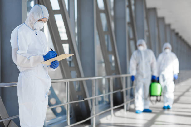 Best Mold Prevention Services  in Hoosick Falls, NY